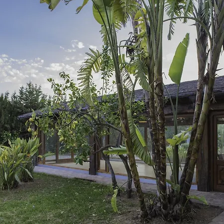 Buenavista (adults Only) 4* Dénia