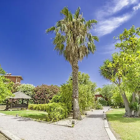 Buenavista (adults Only)