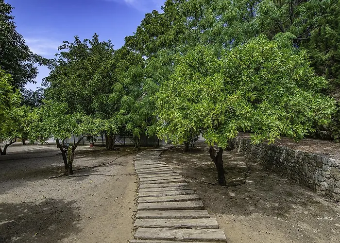 Buenavista (adults Only) Hotel 4*