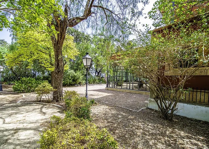 Buenavista (adults Only) 4* Dénia