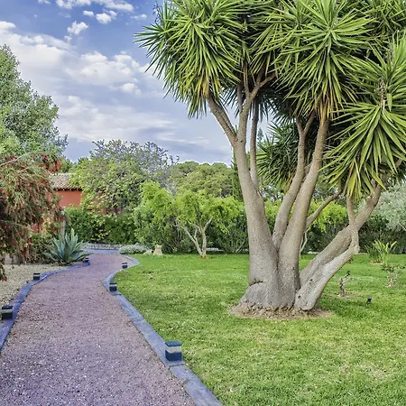 Buenavista (adults Only) 4* Dénia