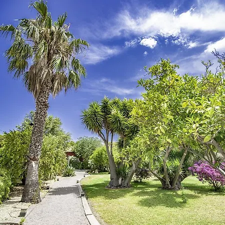 Buenavista (adults Only)