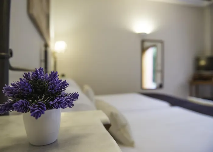 Buenavista (adults Only) Hotel 4*