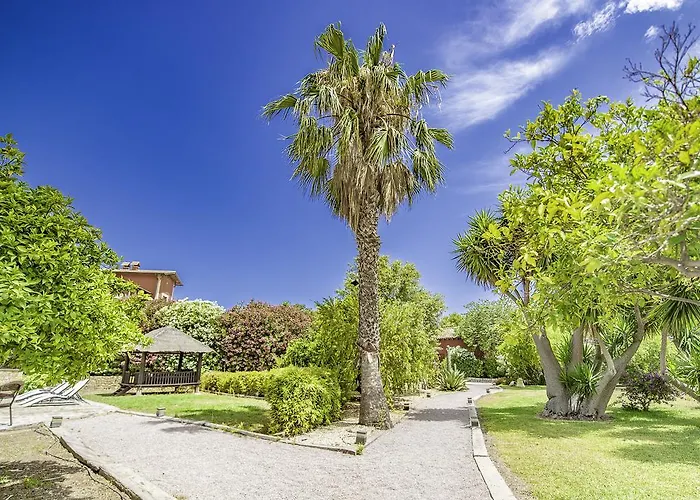 Buenavista (adults Only)