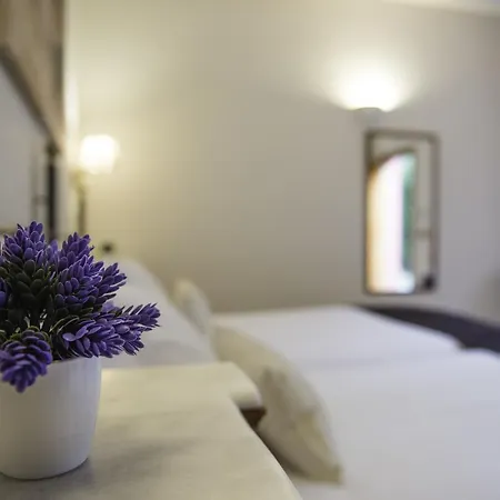 Buenavista (adults Only) Готель 4*