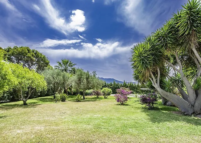 Buenavista (adults Only)