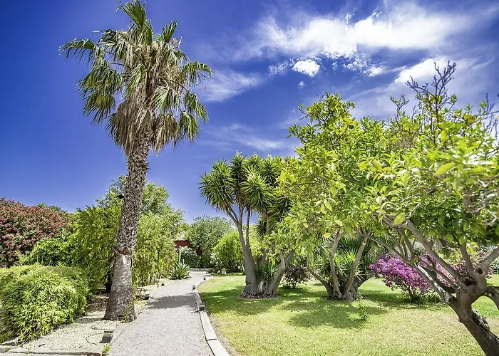 Buenavista (adults Only)